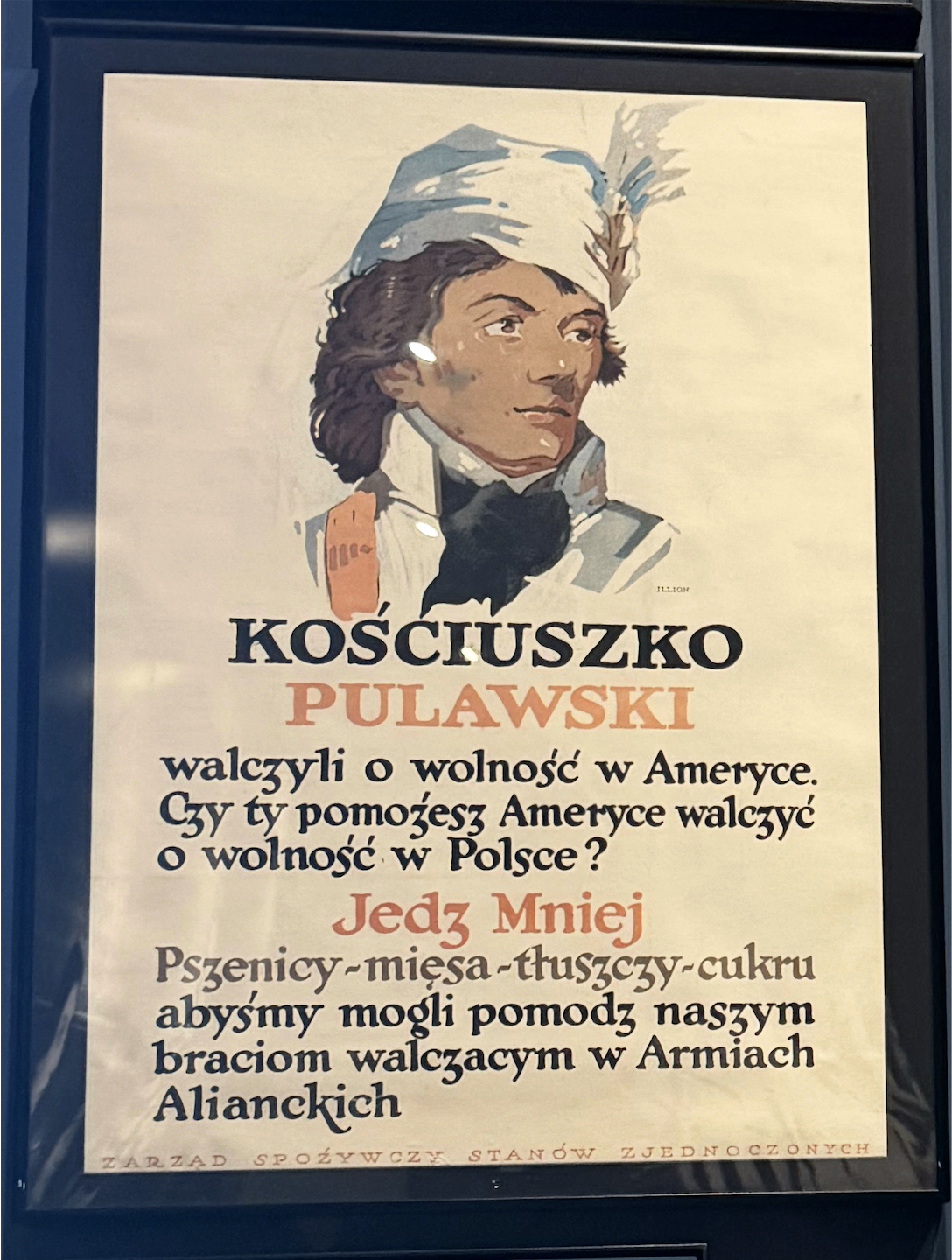 Nowy Jork - plakat „Kościuszko” w Ellis Island National Museum of Immigration (lokalizacja przybliżona)