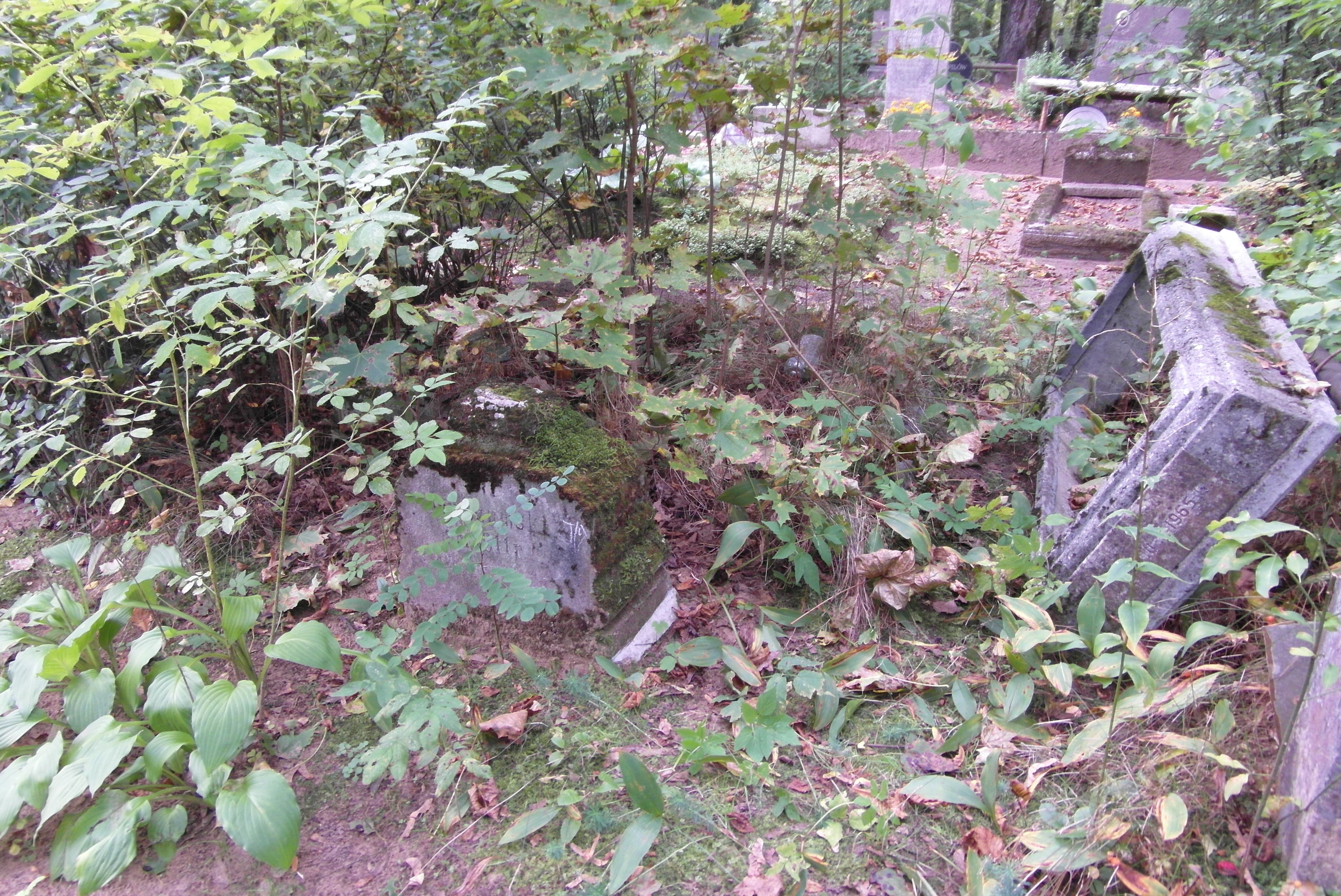 Nagrobek Jana Szumskiego, cmentarz św. Michała w Rydze, stan z 2021 r.