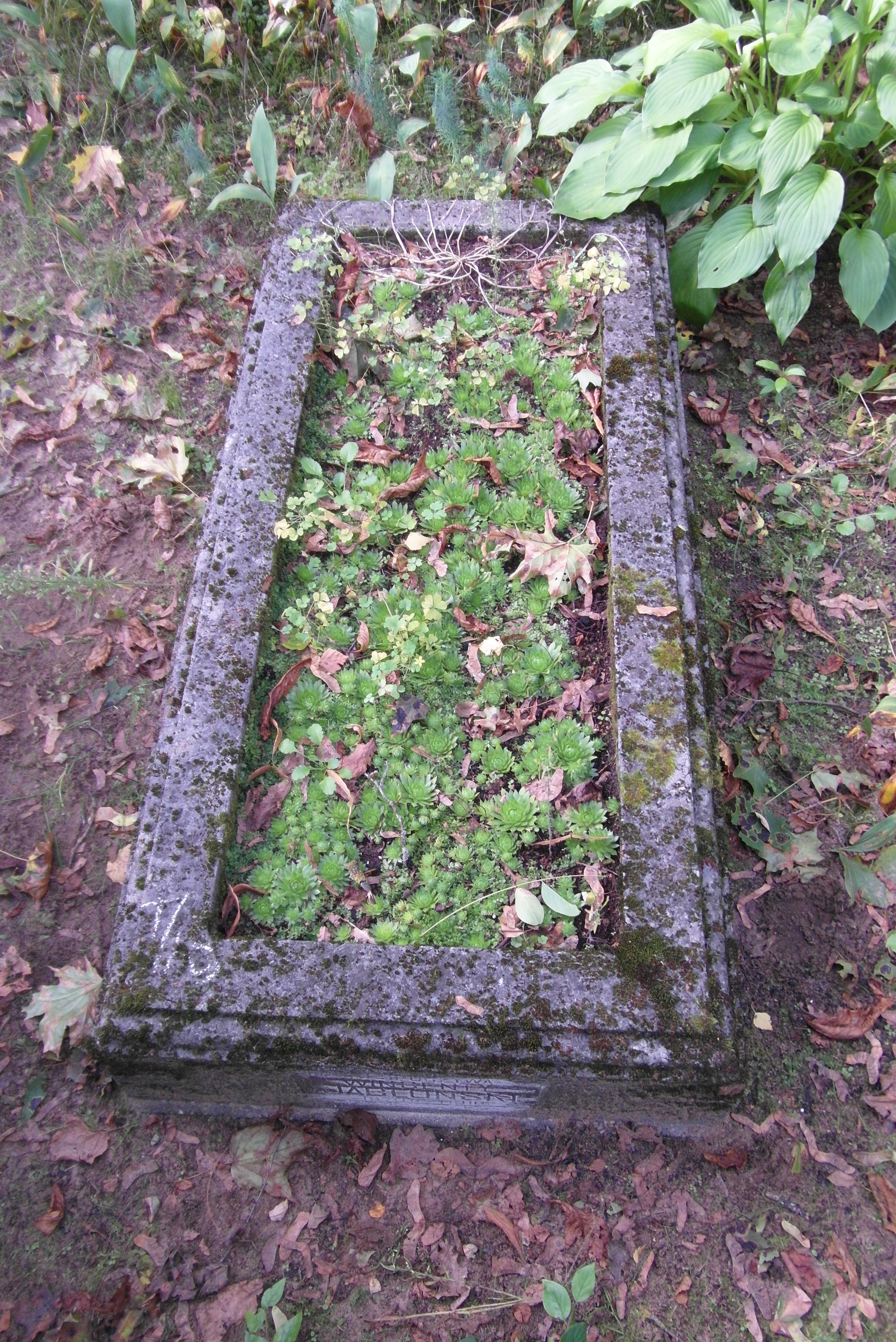 Nagrobek Wincentego Jablonskiego, cmentarz św. Michała w Rydze, stan z 2021 r.