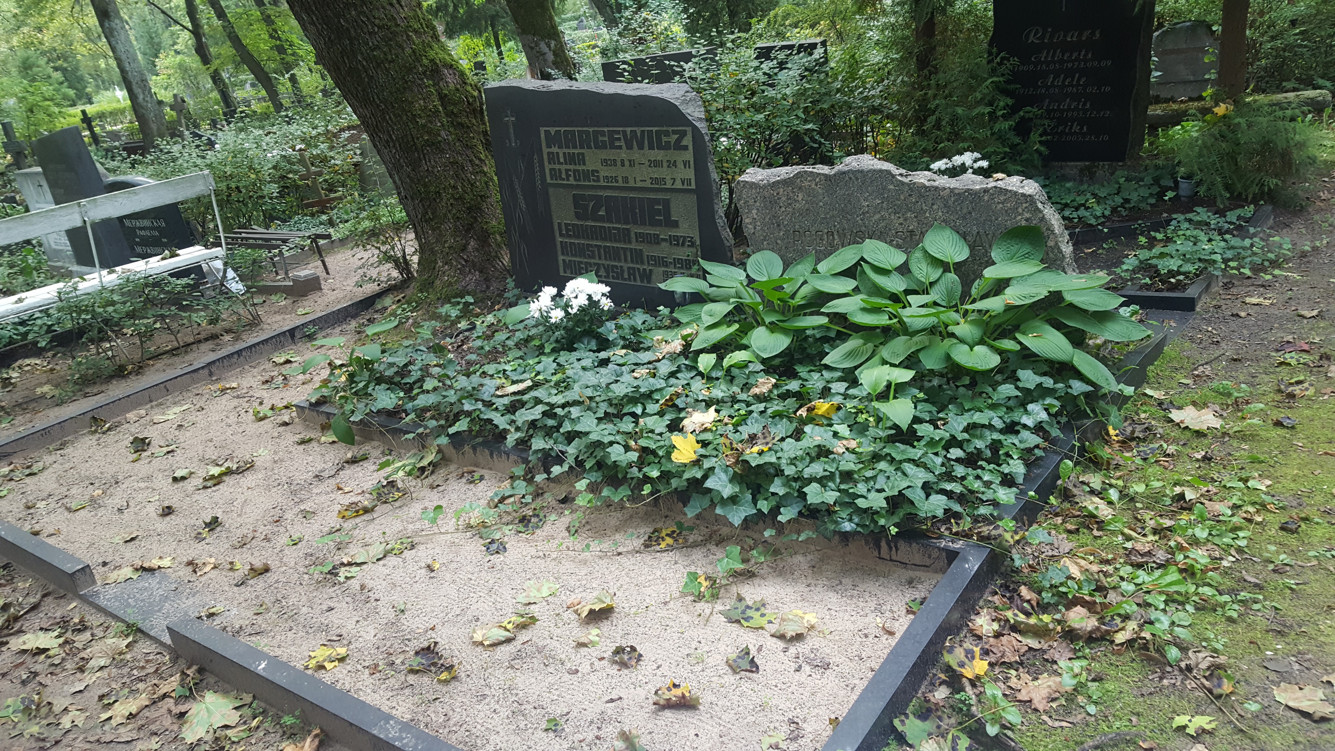 Tombstone of Stanislaw Rogowski, St Michael's cemetery in Riga, 2021 state