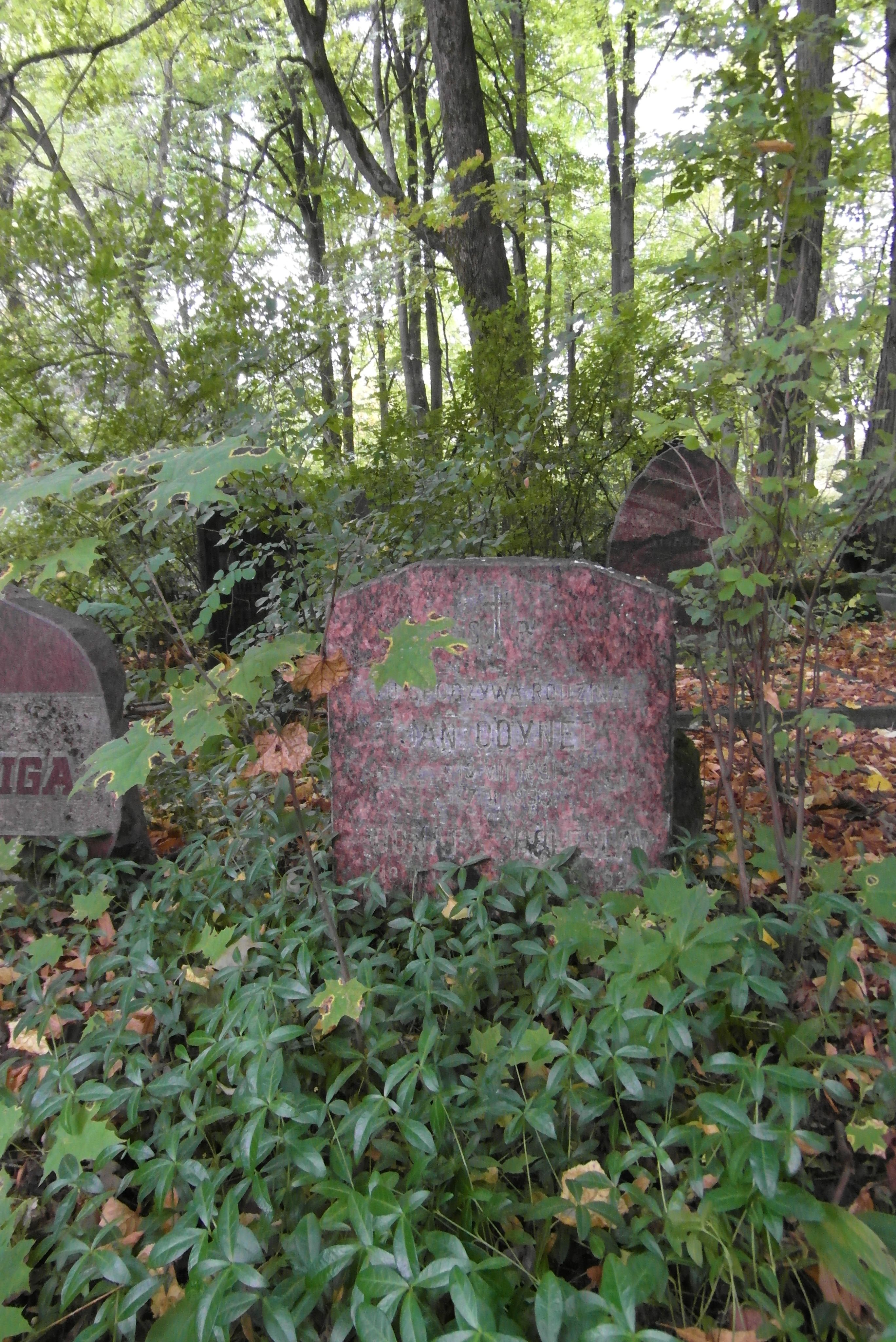 Nagrobek Jana Odyńca, cmentarz św. Michała w Rydze, stan z 2021 r.