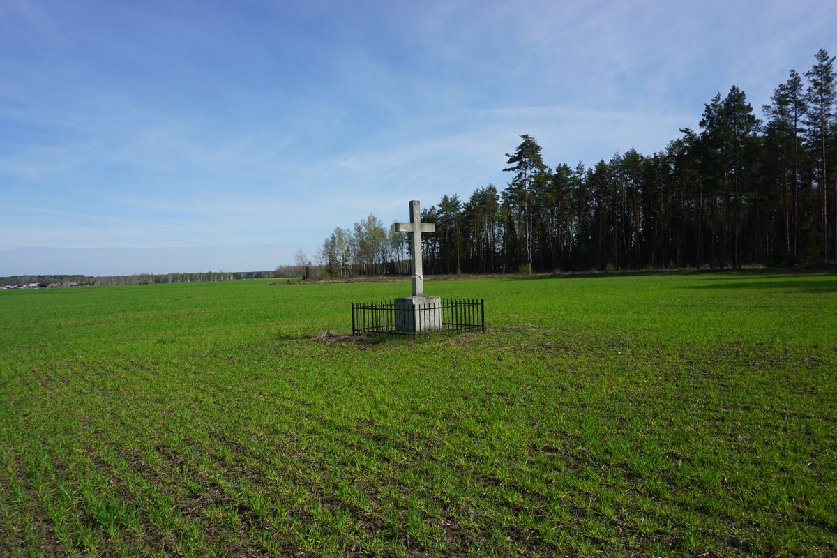 Groby powstańców styczniowych we wsi i w polu