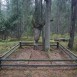 Fotografia przedstawiająca Graves of the January Uprising insurgents