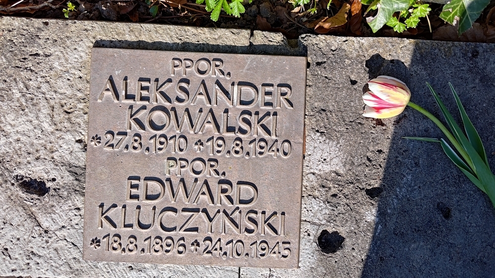 Альтернативний текст фотографії