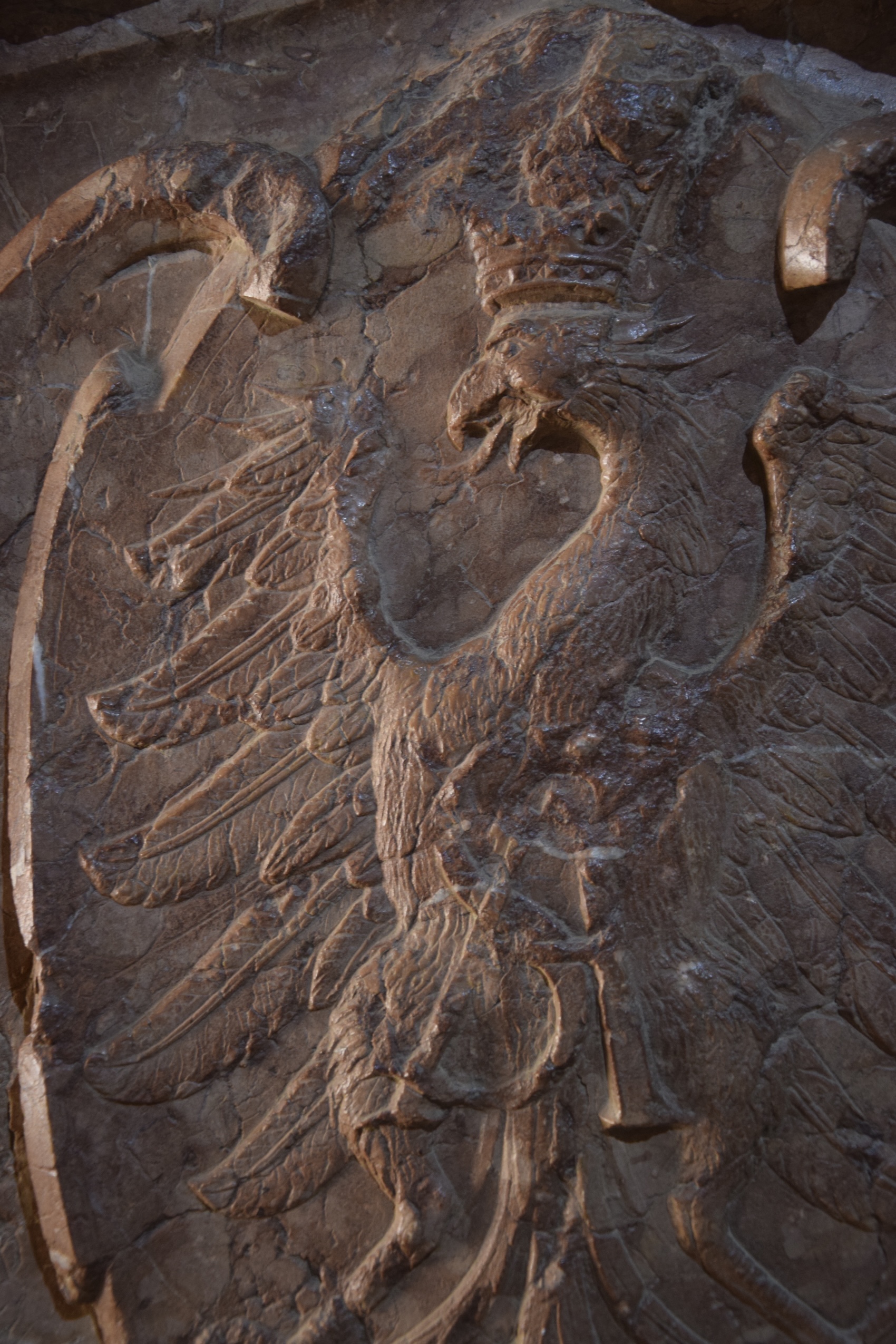 Альтернативний текст фотографії