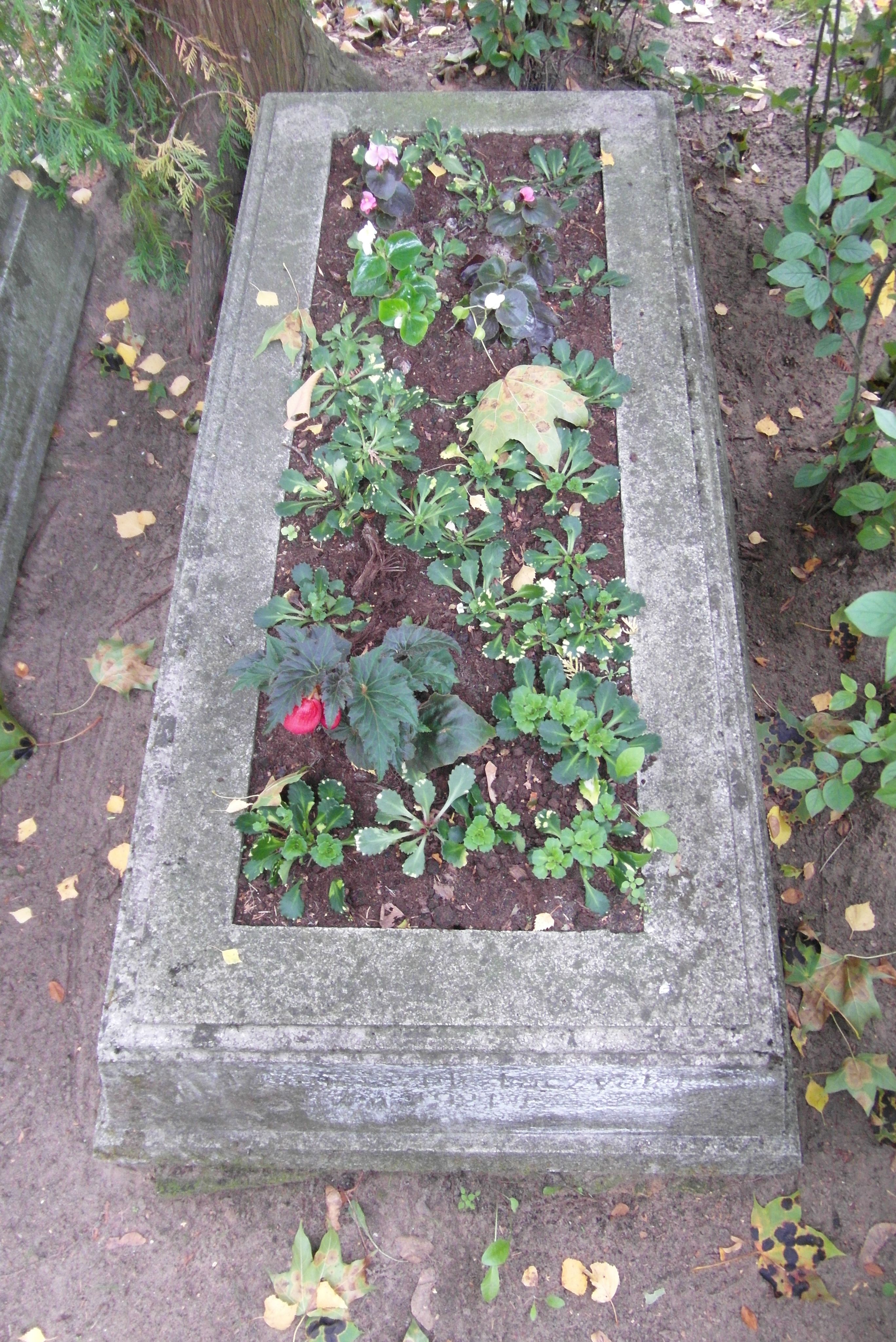 Tombstone of Franciszek Liczycki, St Michael's cemetery in Riga, as of 2021.