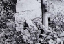 Photo showing Tombstone of the Wiechowski family