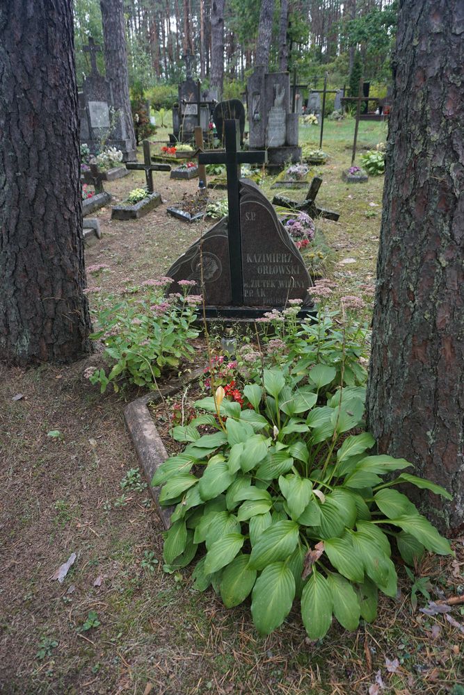 Grób żołnierza Armii Krajowej Kazimierza Józefa Orłowskiego