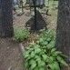 Photo montrant Tomb of Home Army soldier Kazimierz Józef Orłowski