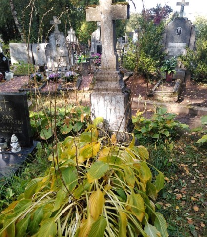 Grób żołnierza Wojska Polskiego, poległego we IX 1939 r.