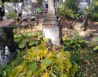 Grób żołnierza Wojska Polskiego, poległego we IX 1939 r.