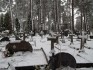 Fotografia przedstawiająca Quarters of Polish soldiers killed between 1919 and 1921