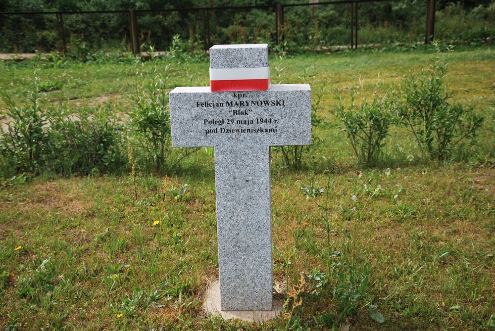 Felicjan (Feliks) Marynowski, Grave quarters of the Home Army soldiers exhumed from Dziewieniszki