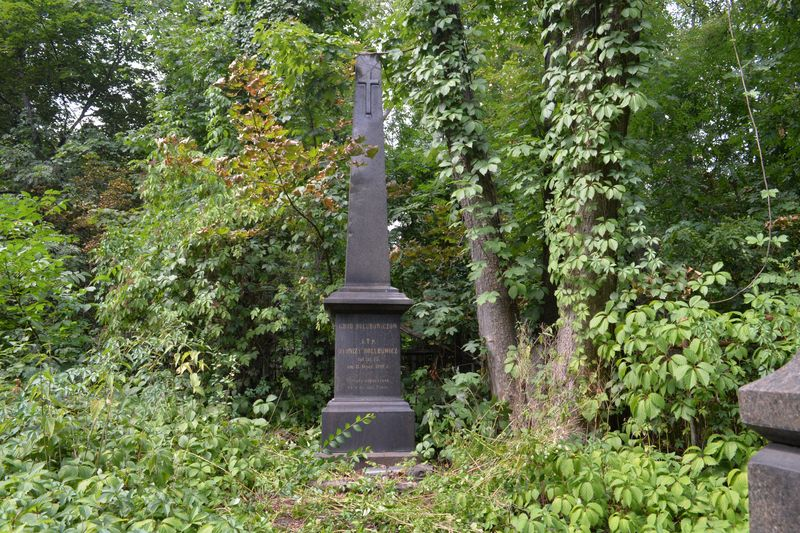 Nagrobek Dionizego Hołubowicza, cmentarz Bajkowa w Kijowie, stan z 2021.