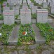 Fotografia przedstawiająca Military cemetery - part of Stara Rossa cemetery