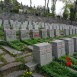 Fotografia przedstawiająca Cmentarz wojskowy - część cmentarza Stara Rossa
