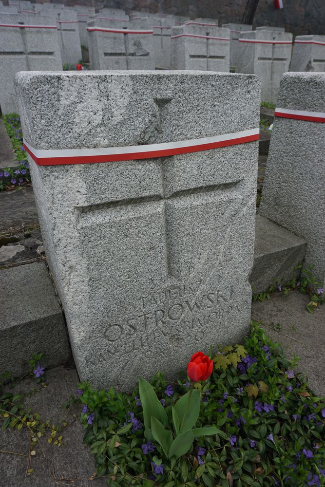 Tadeusz Ostrowski, Military cemetery - part of the Stara Rossa cemetery