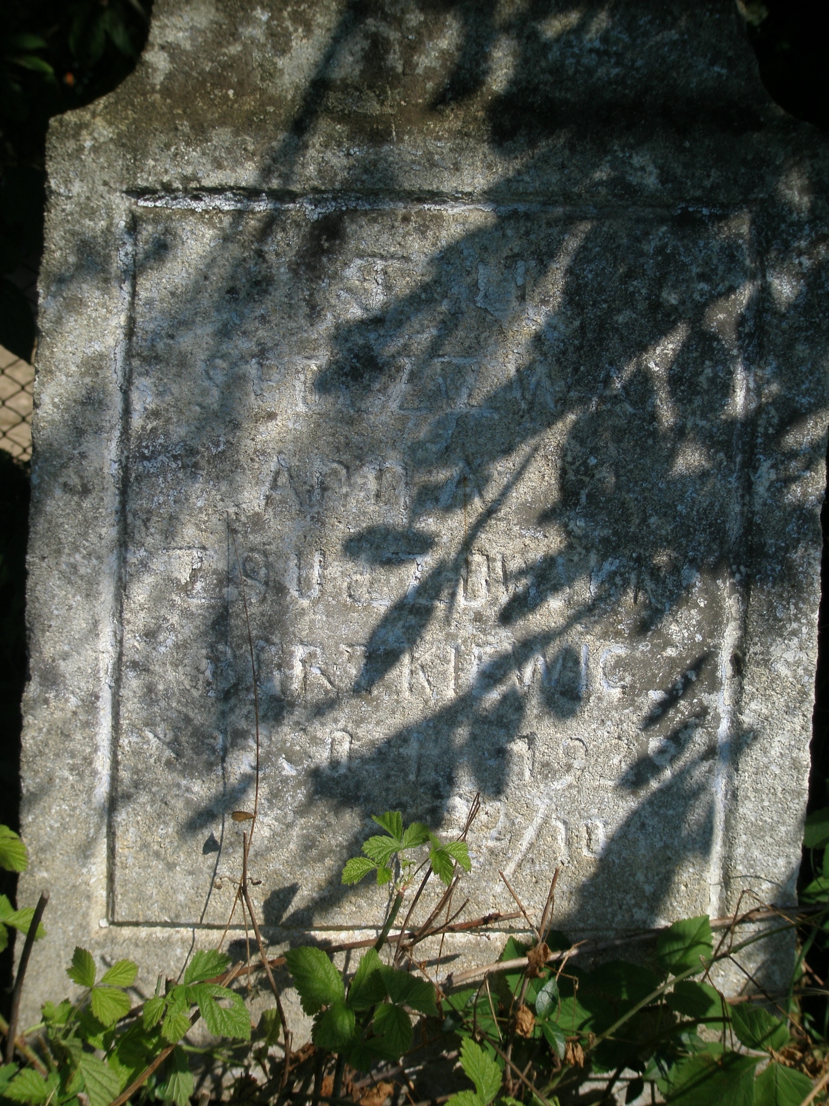 Fragment nagrobka Anny Bartkiewicz, cmentarz w Baryszu, stan z 2006 r.