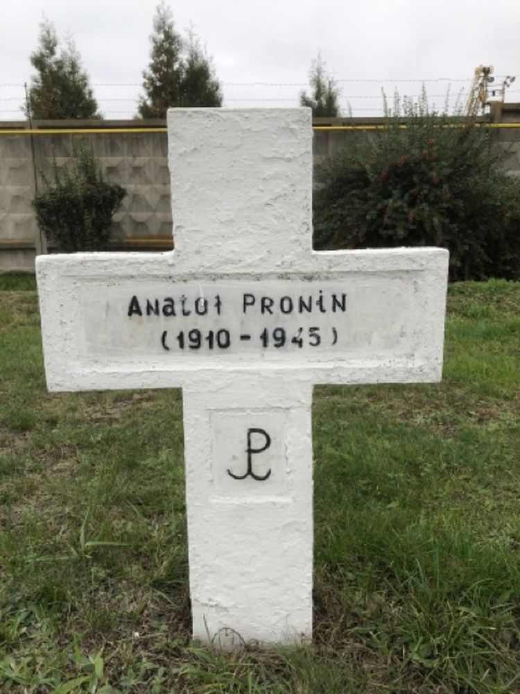 Anatoly Pronin, Cemetery of Gulag No 178, destroyed, rebuilt and commemorated with crosses