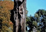 Fotografia przedstawiająca Tombstone of Jan Bull