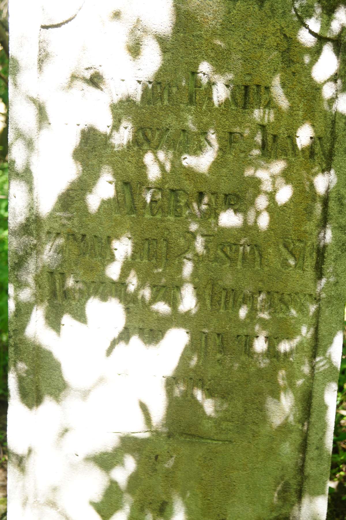 Inscription from the gravestone of Anna Weber, Dolzhanka cemetery