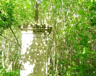 Nagrobek Anny Weber, cmentarz w Dołżance