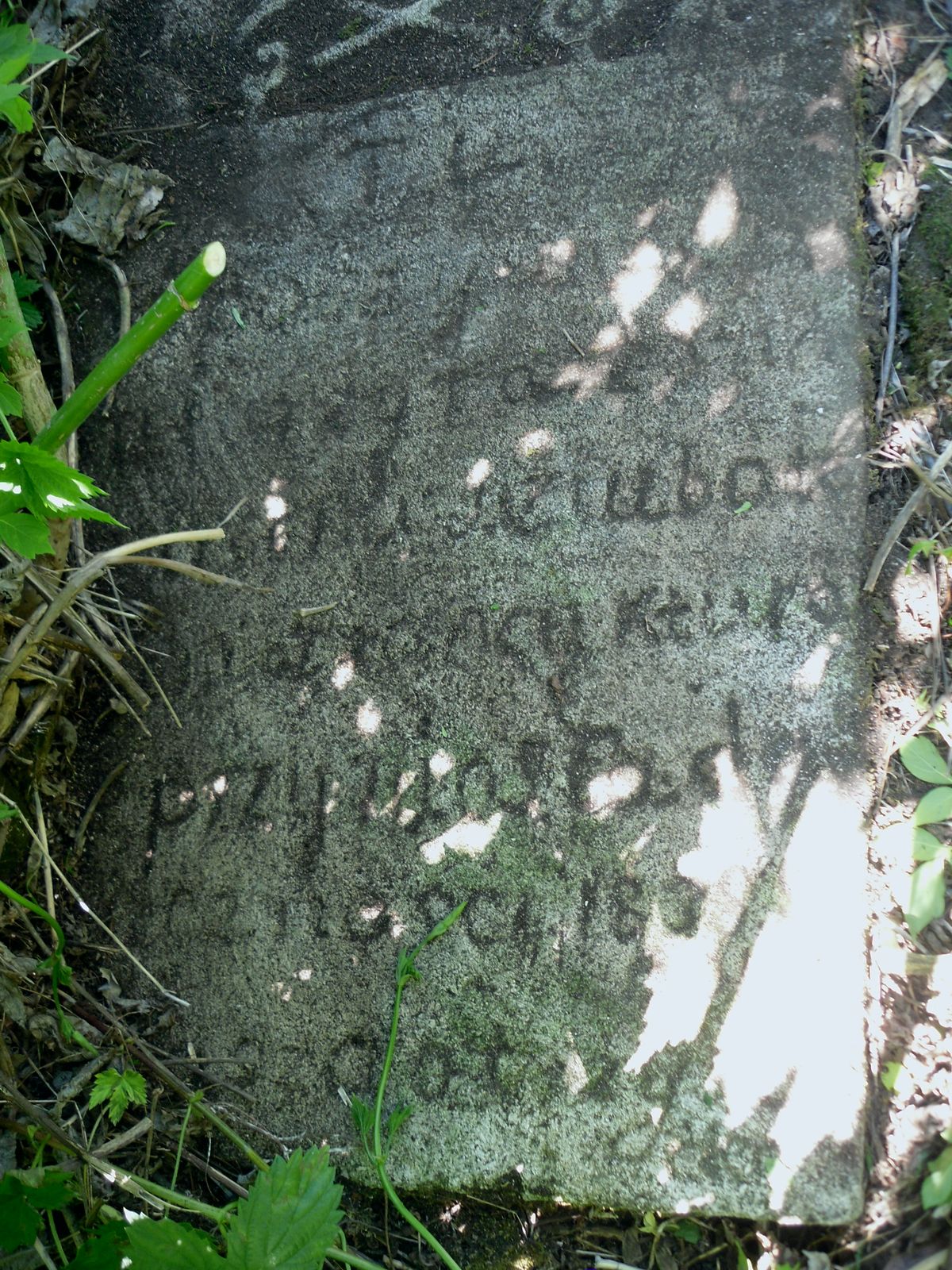 Inscription from the gravestone of N.N. Dziubata, Dolzhanka cemetery