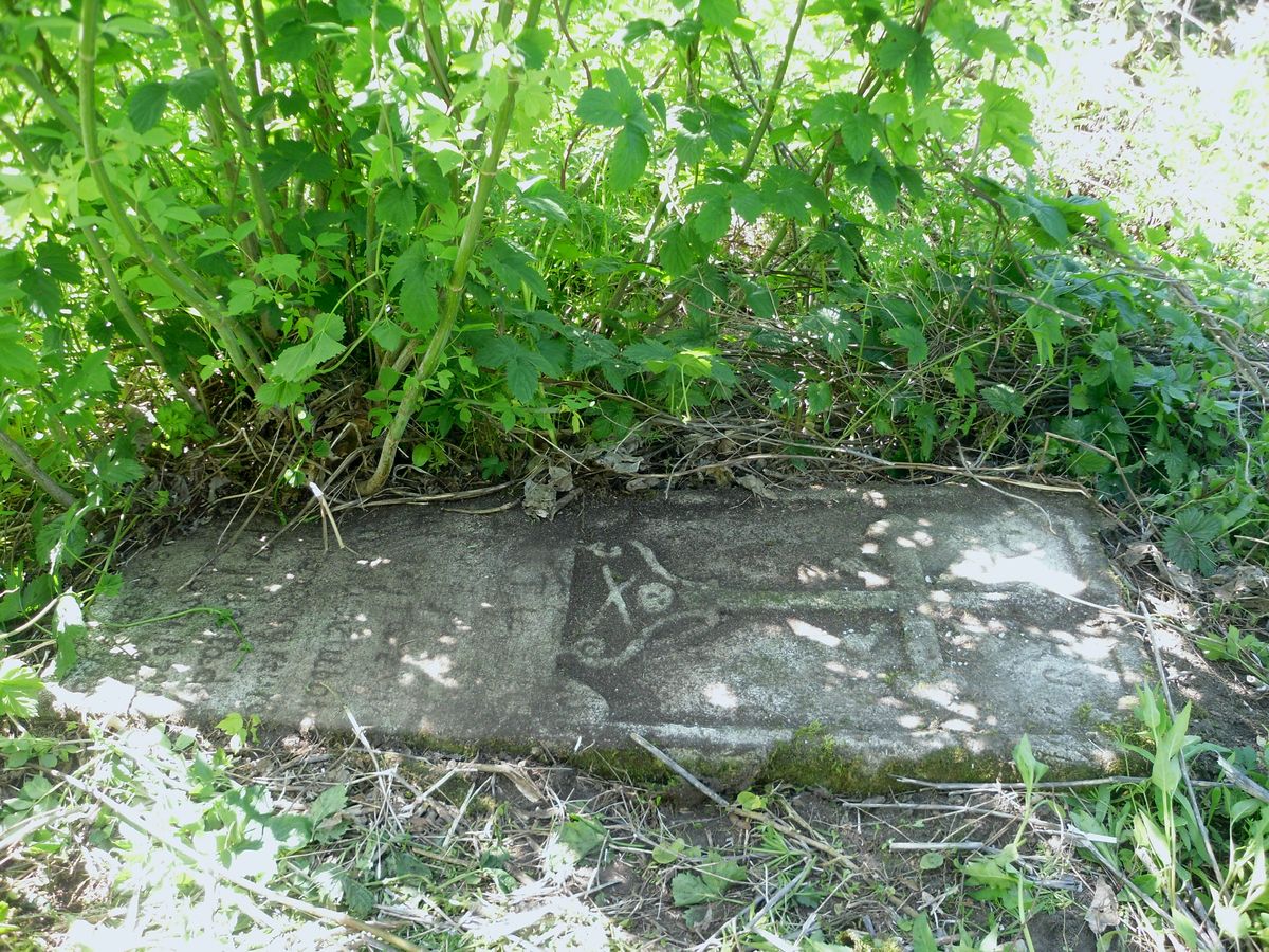 Tombstone of N.N. Dziubata, Dolzhanka cemetery