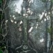 Photo montrant Tombstone of N.N. Dziubata