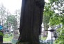 Fotografia przedstawiająca Tombstone of Ignacy Buczkowski