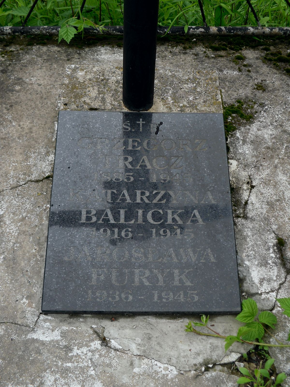 The gravestone of Katarzyna Balicka, Jarosława Furyk and Grzegorz Tracz. Cemetery in Pleszkowce