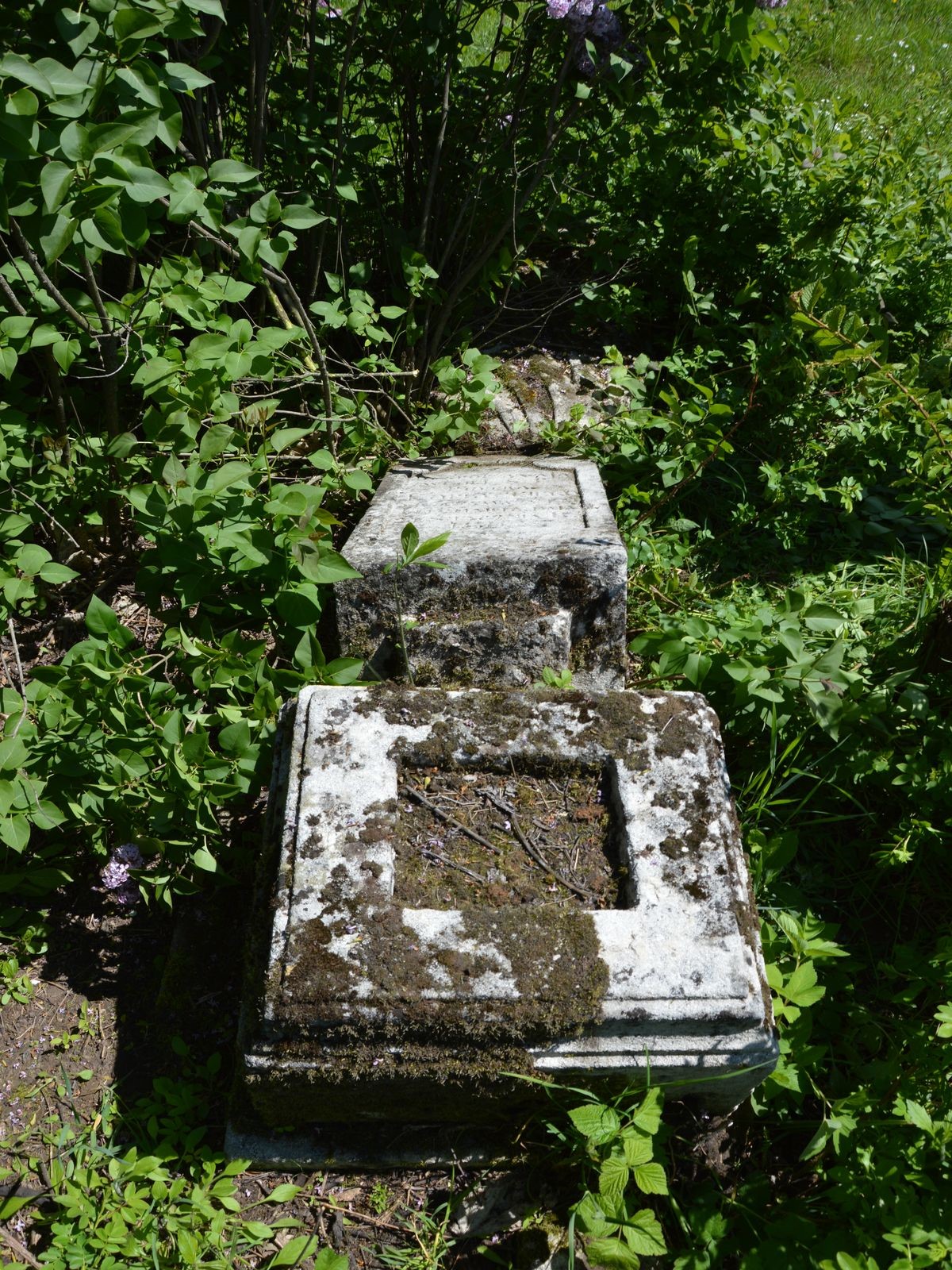 Nagrobek Piotra Kopkyckiego, cmentarz w Łozowej