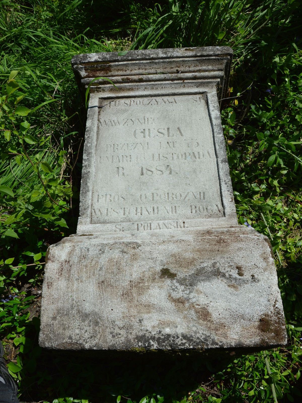 Nagrobek Wawrzyńca Cieśli, cmentarz w Łozowej