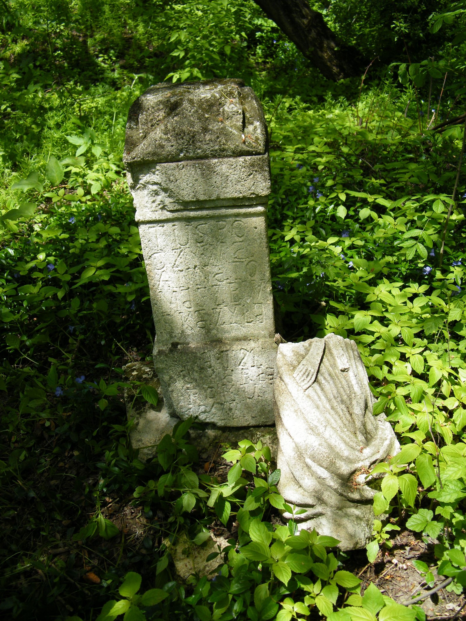 Tombstone of Anna Tomaszewska, Horodyszcze cemetery