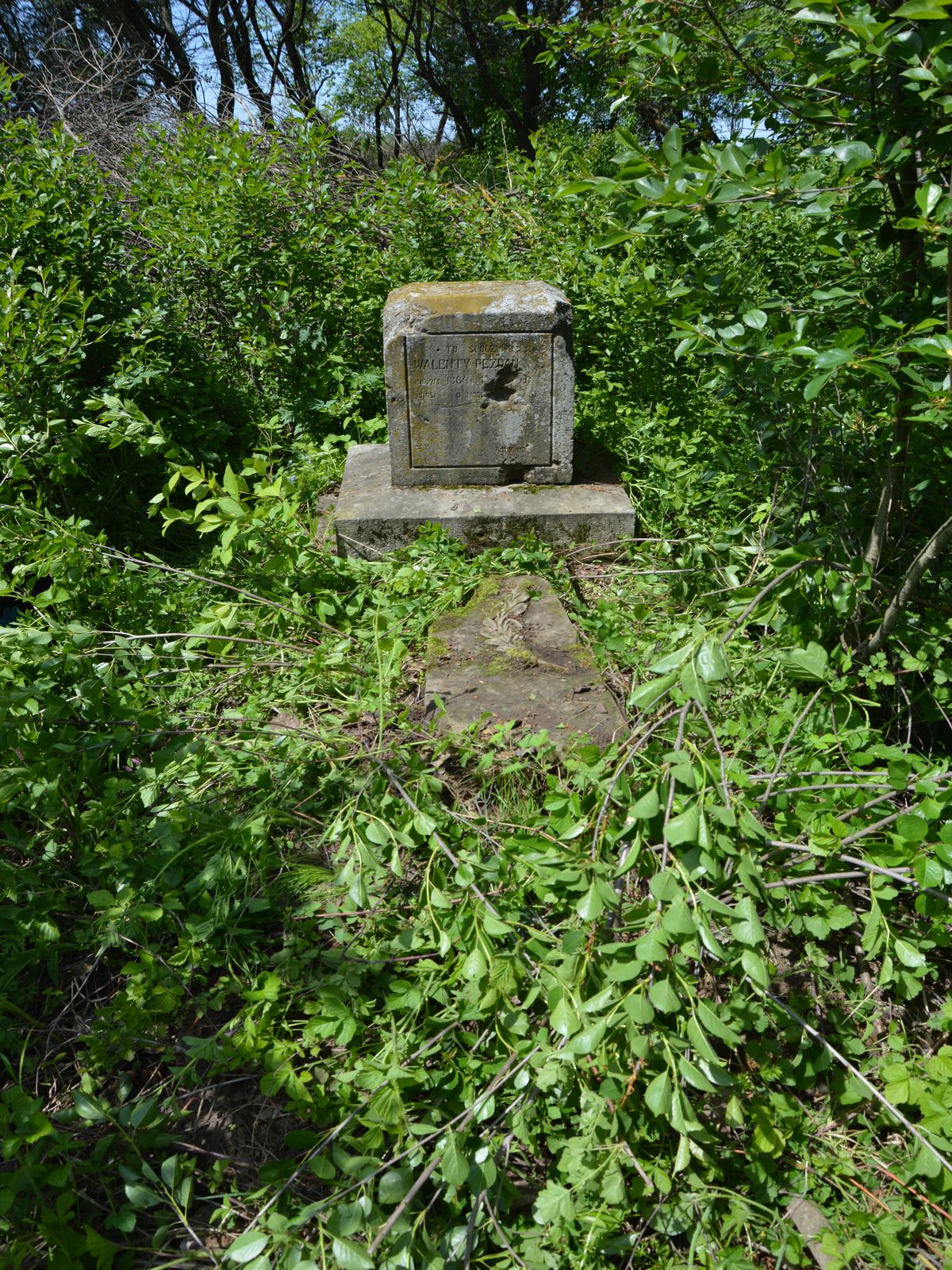 Tombstone of Valente Pezda[u], Horodyszcze cemetery