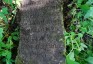 Photo montrant Tombstone of Jozef Zaniewicz