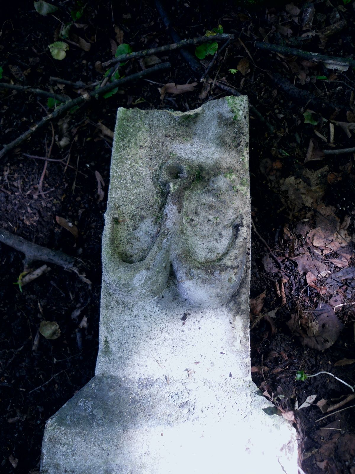 Fragment of the gravestone of Teresa Swirska. Cemetery in Kokutkowce