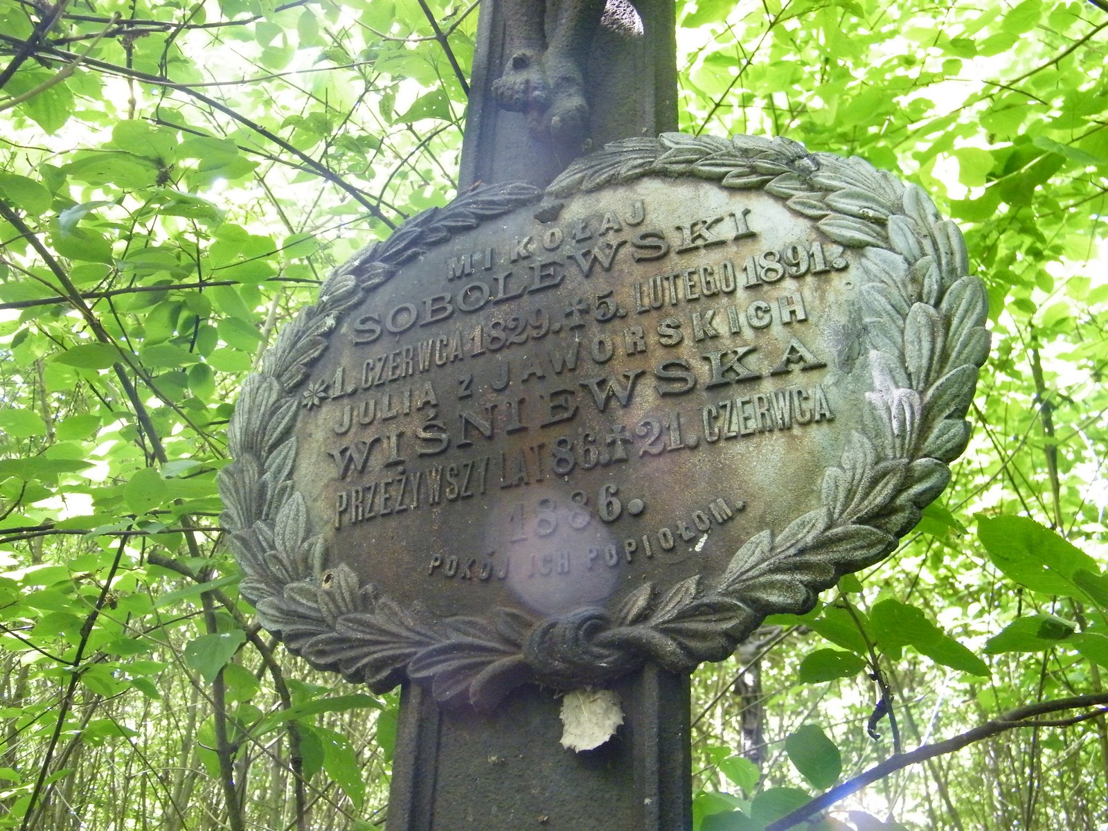 Tabliczka z inskrypcją z nagrobka Mikołaja Sobolewskiego i Julii Wiśniewskiej. Cmentarz w Kokutkowcach