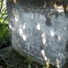 Photo showing Tombstone of Tekla Szewc Tomek