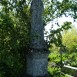 Photo montrant Tombstone of Tekla Szewc Tomek