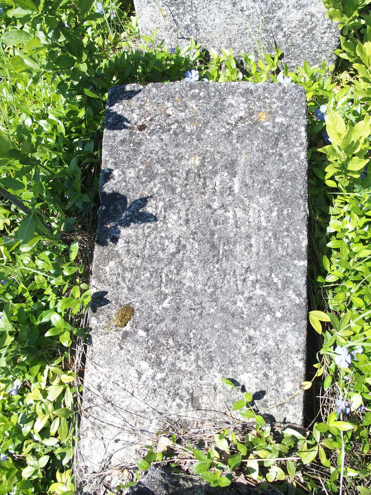 Inscription from the gravestone of Jan Czupi[.]ski, Lozowa cemetery