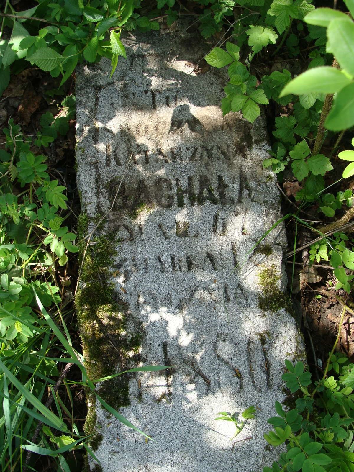 Inskrypcja z nagrobka Katarzyny Bachały, cmentarz w Łozowej