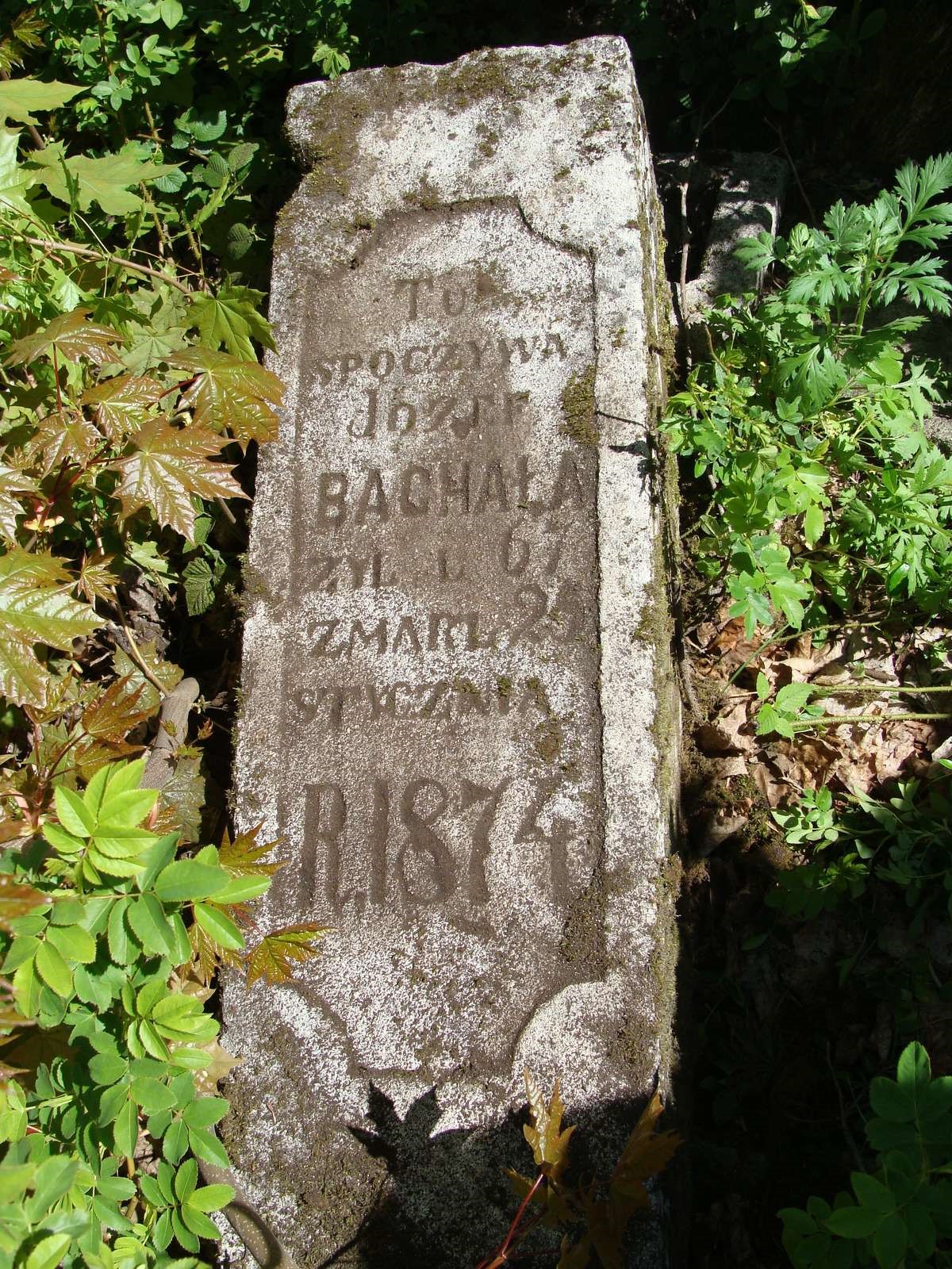 Inscription from the gravestone of Józef Bachała, Łozowa cemetery