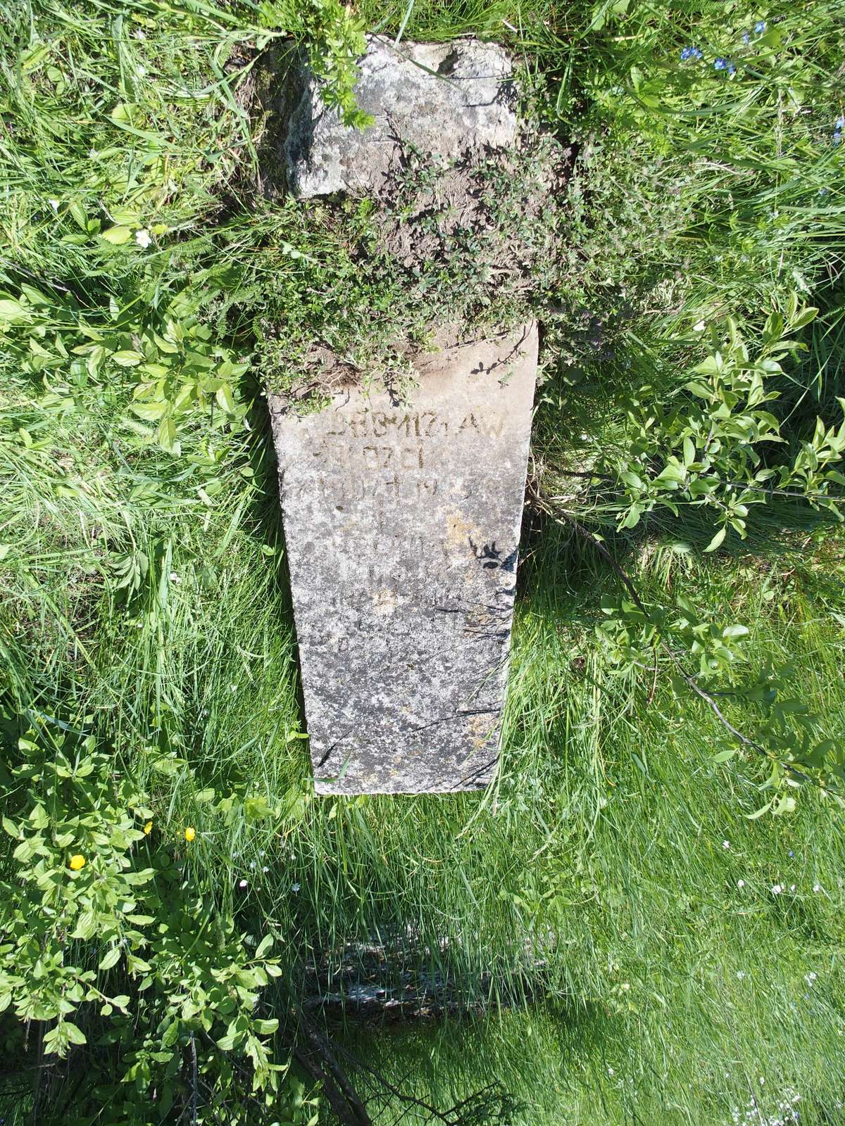 Tombstone of Bronislaw and Helena Kozlik, cemetery in Lozová