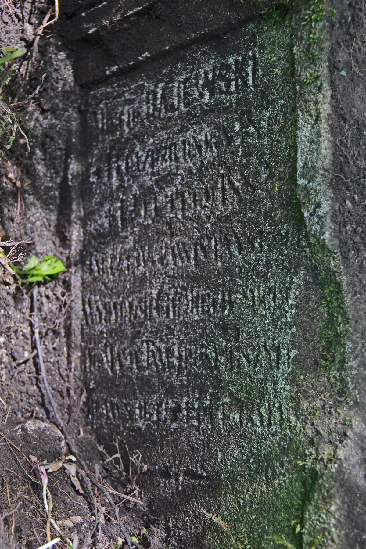 Inskrypcja z nagrobka Henia Bajewskiego, cmentarz w Horodyszczach