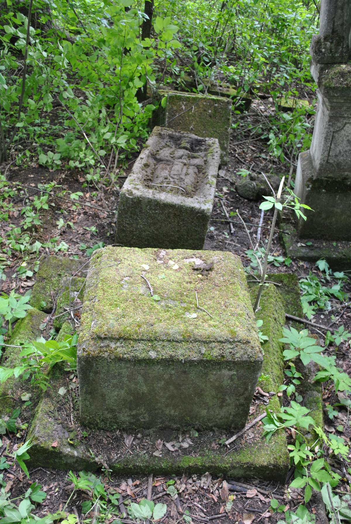Tombstone of Simon and Tatiana Koltowski. Cemetery in Kokutkovce