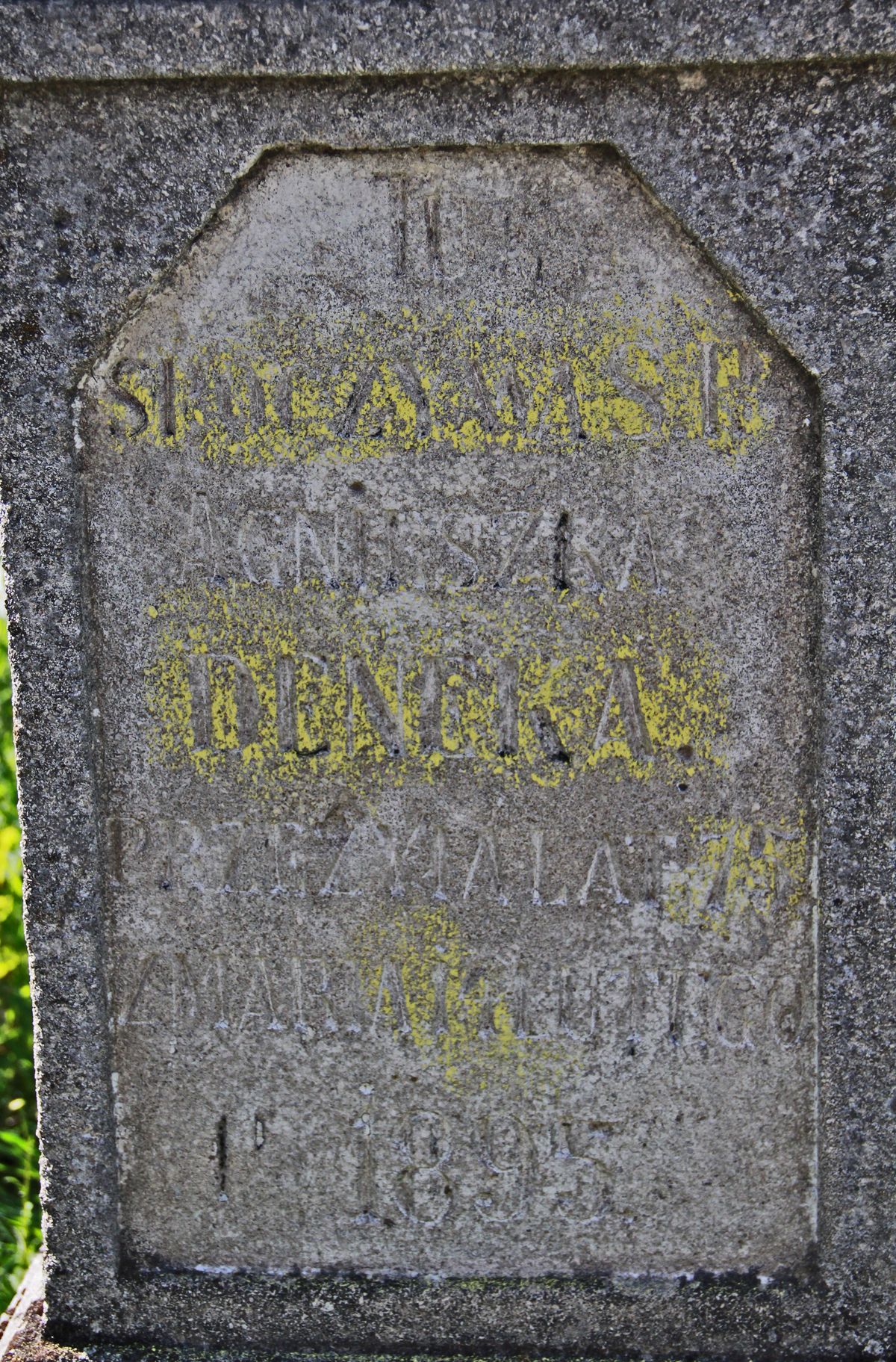 Inscription from the gravestone of Agnieszka Deneka, Ihrownica cemetery