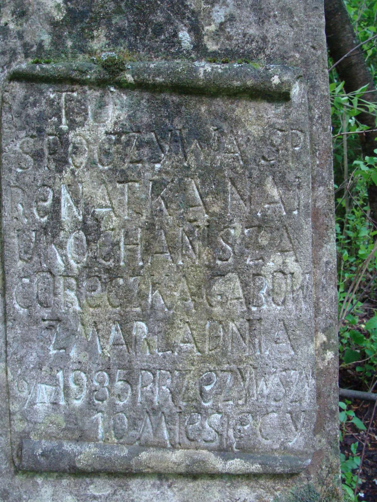 Inskrypcja z nagrobka Renaty Grab. Cmentarz w Kokutkowcach