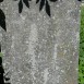 Fotografia przedstawiająca Tombstone of Anna Gwoździak