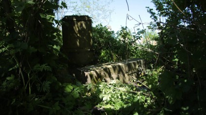 Nagrobek Eliasza Raczyńskiego, cmentarz w Dołżance